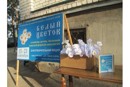 15-23 сентября в нашем городе и области проводилась всероссийская благотворительная акция "Белый цветок"